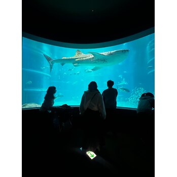 ～海遊館～