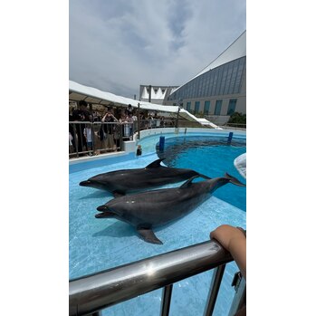 水族館(マリンワールド海の中道)